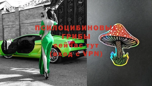 гидропоника Новодвинск