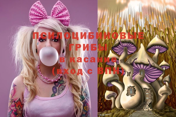 Альфа ПВП Новозыбков