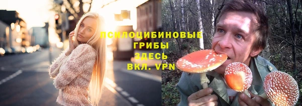 ECSTASY Няндома