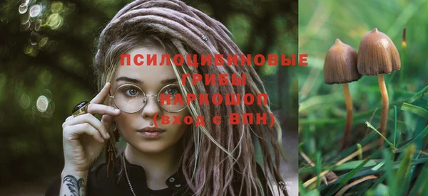 ALPHA-PVP Ачинск